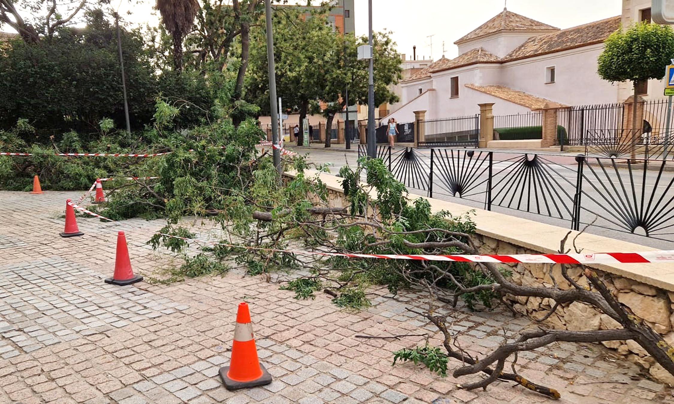 YECLA RESISTE A LA OLA DE CALOR Siete Días Yecla