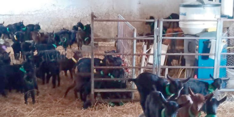 Agricultores y ganaderos trabajan conscientes de su importancia