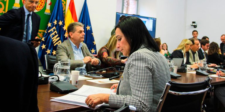 La alcaldesa Lajara participa en la Comisión de Inclusión Social y Migraciones de la FEMP